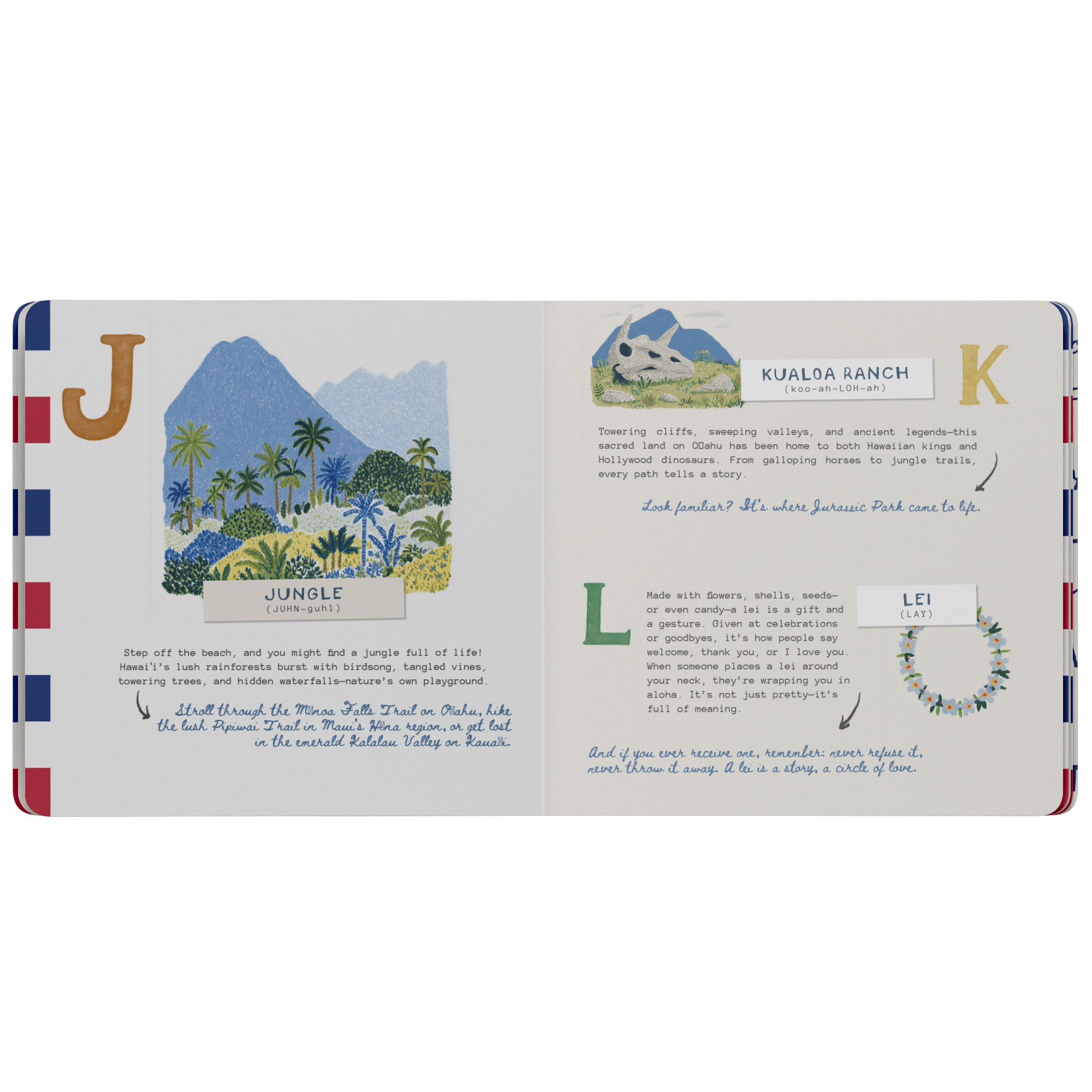 ABC__English_Hawaii_Board_Book_Board_Book_Inside_Open_Flat_Mockup.png