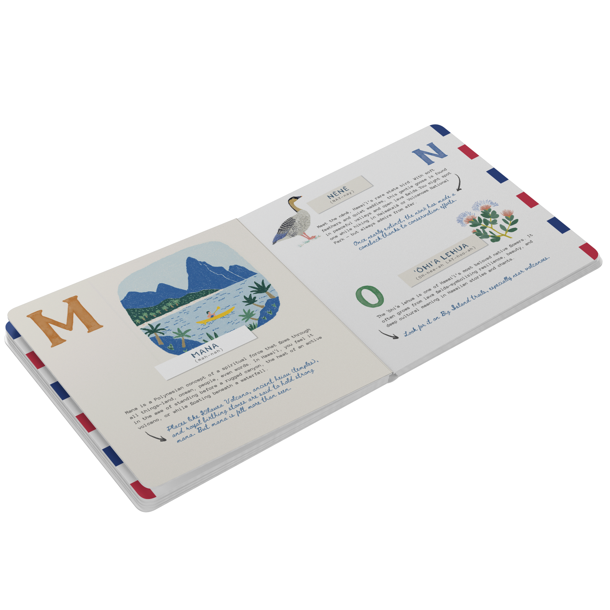 ABC__English_Hawaii_Board_Book_Board_Book_Open_Pages_Angle_Mockup.png