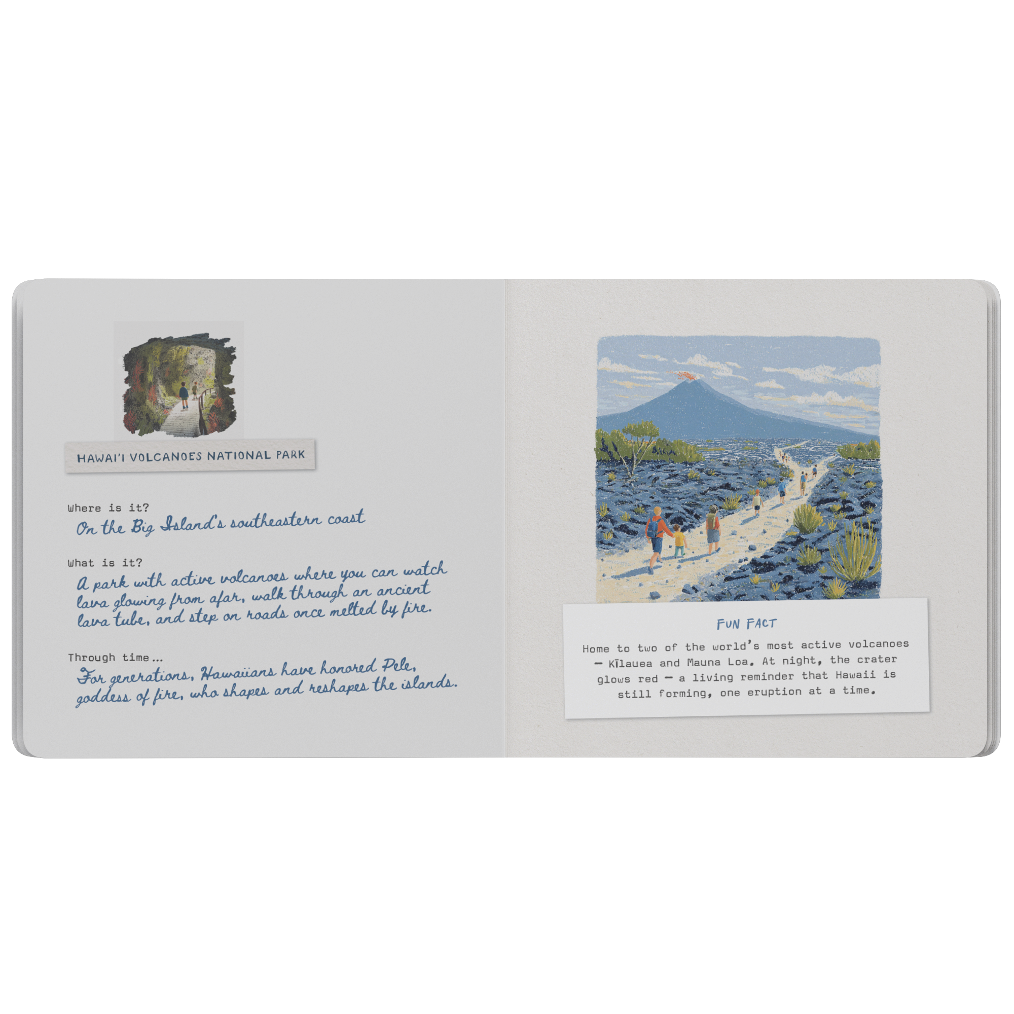 Aloha_Hawaii_-_Board_Book_Board_Book_Inside_Open_Flat_Mockup.png