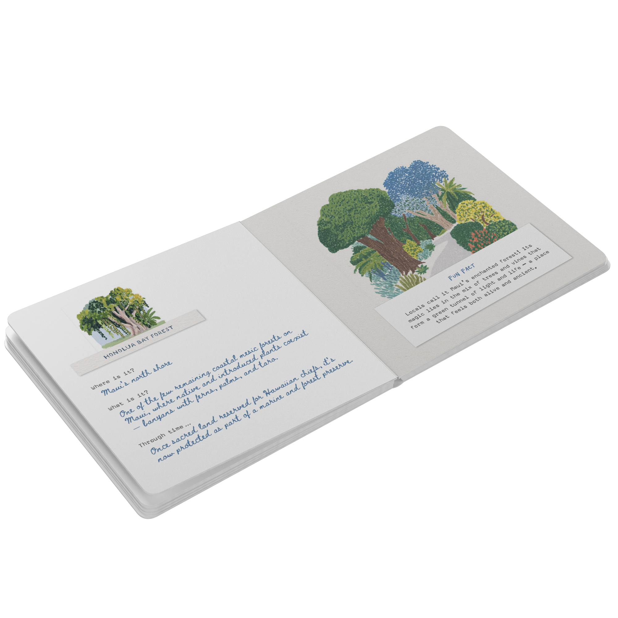 Aloha_Hawaii_-_Board_Book_Board_Book_Open_Pages_Angle_Mockup.png
