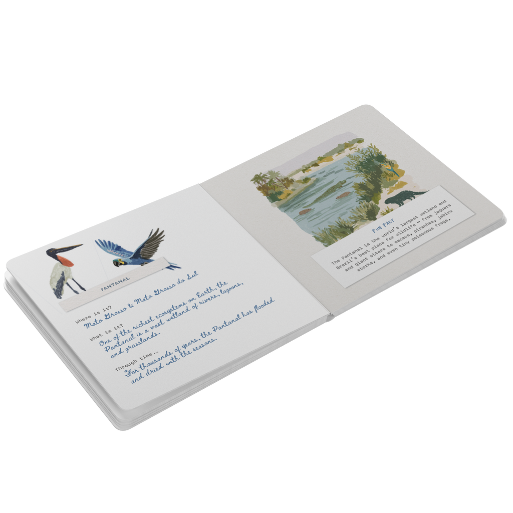 Ol__Brazil_Board_Book_Board_Book_Open_Pages_Angle_Mockup.png