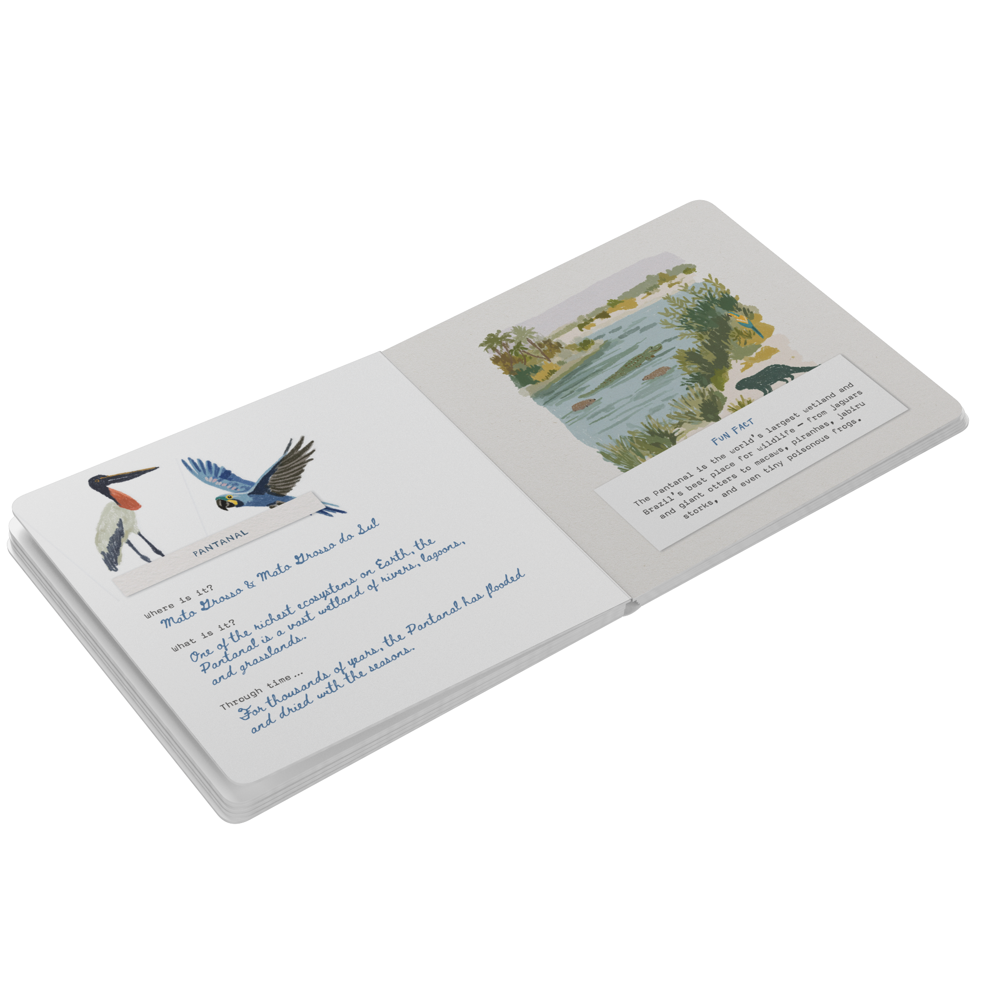 Ol__Brazil_Board_Book_Board_Book_Open_Pages_Angle_Mockup.png